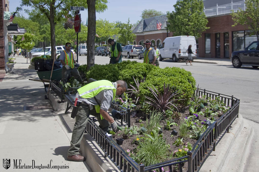 McFarlane Douglass professional working on landscaping a sidewalk in Chicago