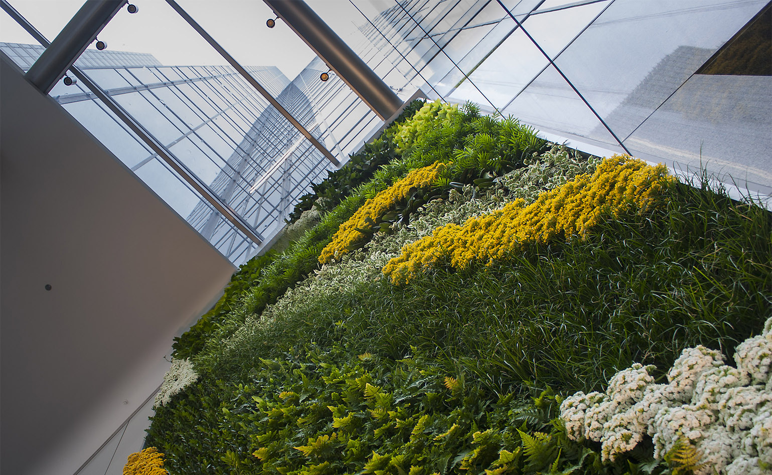 Green Walls Gallery - McFarlane Douglass & Companies -