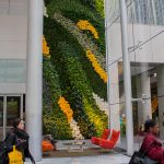 plant wall large chicago lobby