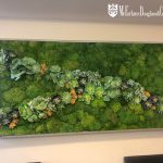moss succulent framed art
