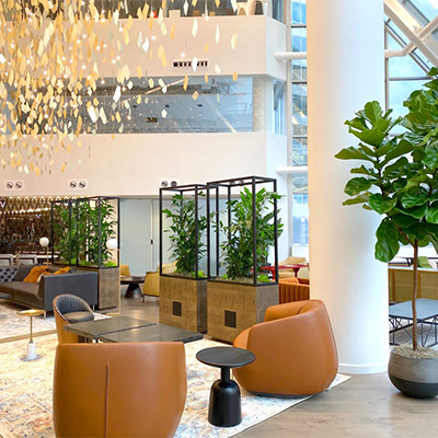 TitleImage-interior-landscaping-indoor-plants-lobby-B