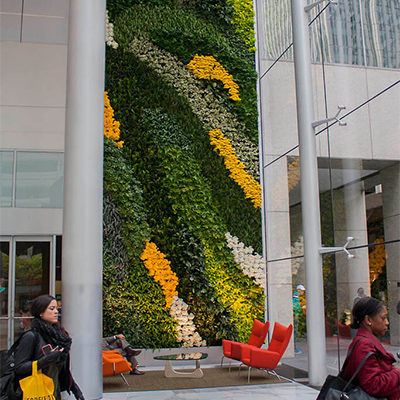 large-plant-wall-yellow-wave-lobby-2