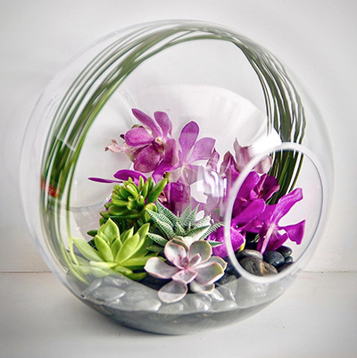 orchid-arrangement-purple-succulent-glass-globe