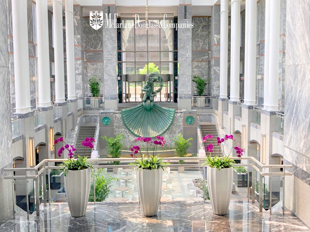 Pink Orchids in lobby of Chicago office