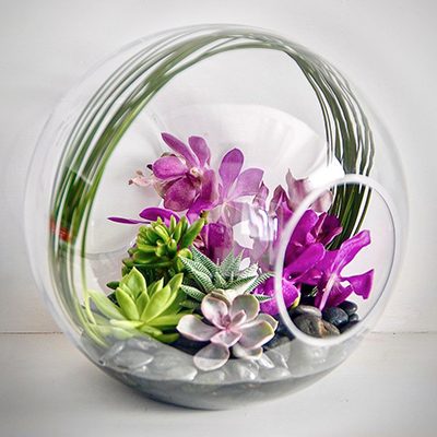 orchid-arrangement-purple-succulent-glass-globe