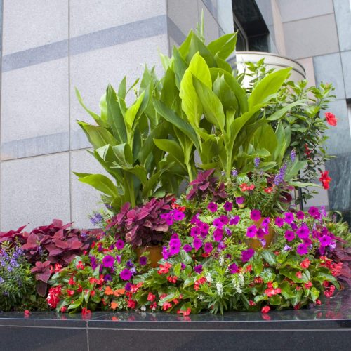 summer landscaping gallery preview image